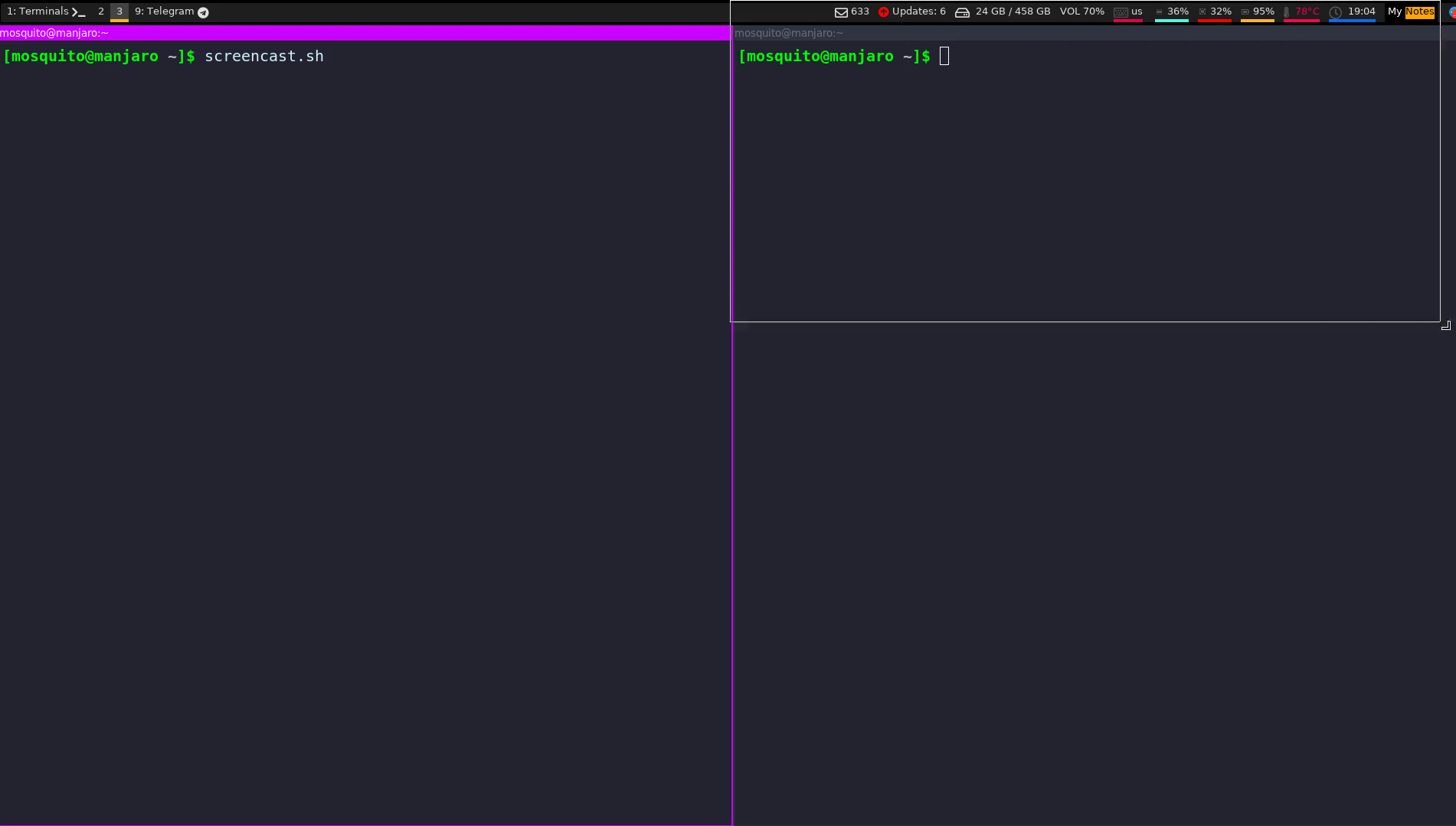 screencast